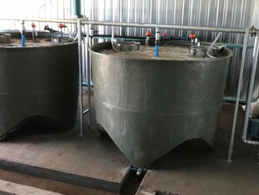 Compost tea systems