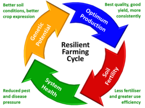 Ecosoil EcoDelta programme graph